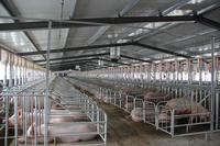 武汉新洲区养殖场废水处理工程