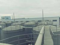 荆州某工厂废气处理工程