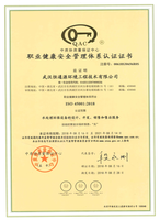 职业健康体系证书